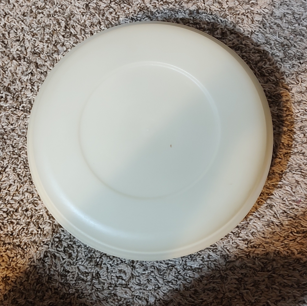Tupperware smaller veggie &dip container